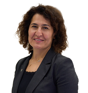 psip eu agenda